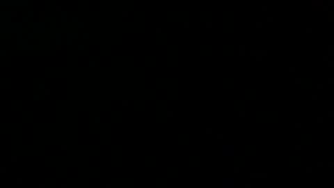 Peter online show from February 23, 8:00 pm