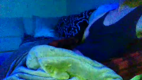 0h_henry online show from January 17, 11:30 am