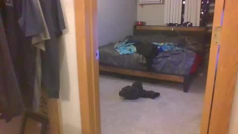 123loonymail online show from October 11, 5:01 am