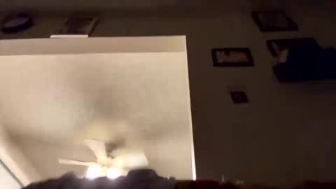 19bbc88 online show from October 22, 11:34 am