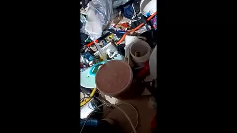 Boy In Sisters Clothes online show from December 27, 11:50 am