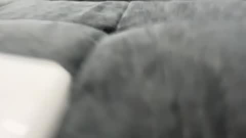 Snapshot of 1ofthegoodguys chatting on December 11, 4:31 pm 1ofthegoodguys online show from December 11, 4:31 pm