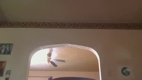 Pizza online show from October 2, 6:50 pm