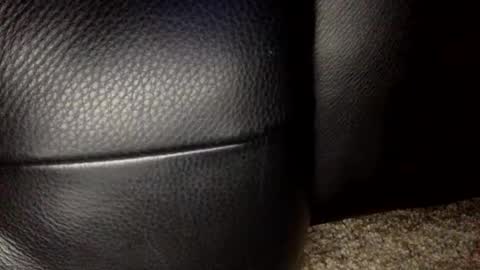 30nick online show from January 18, 6:55 am