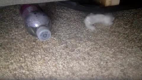 30nick online show from February 10, 4:15 am