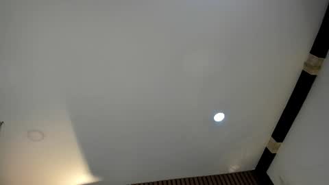 3X NAXAA online show from February 1, 1:30 pm