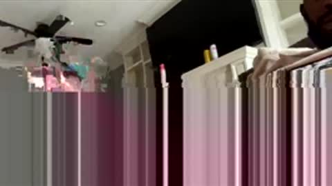 522628bird online show from December 2, 5:00 pm