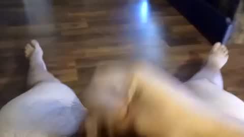 5tone_bon3 online show from September 14, 2:18 pm