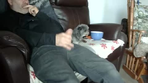 66bear online show from October 31, 5:46 pm