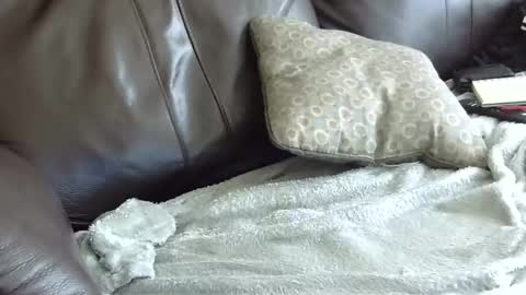 66bear online show from January 31, 6:57 pm