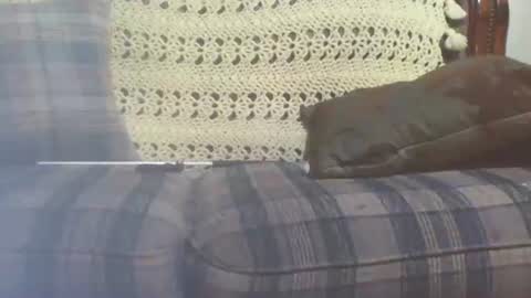 69sextoyboy69 online show from January 25, 3:41 pm