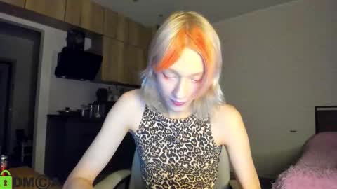 Gaylord online show from November 9, 8:07 am