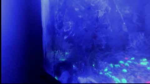 Giulia...... online show from October 29, 4:36 am