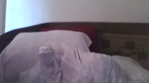  hasanhz.  online show from November 23, 8:56 am