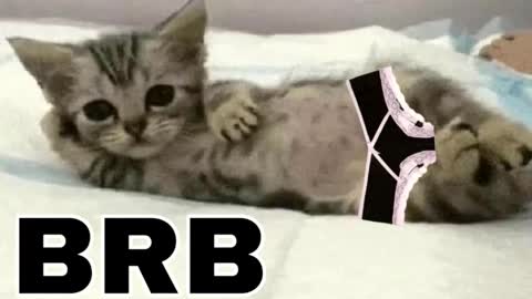 miko3 online show from December 3, 11:27 pm