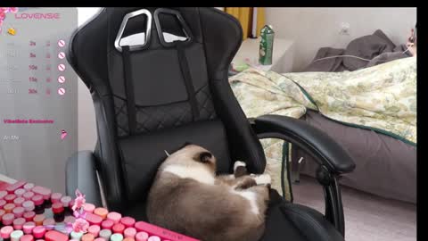 Alis online show from October 12, 12:53 pm