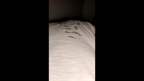 help me help you online show from December 19, 12:00 pm