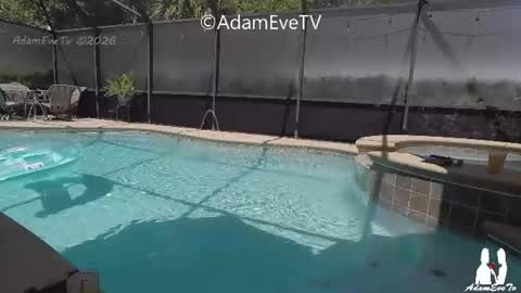 Adam And Eve online show from July 5, 3:41 pm