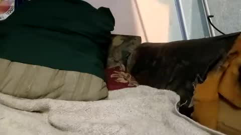 adarkvid420tj online show from November 16, 7:10 am