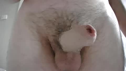 adi2019 online show from February 4, 3:26 pm