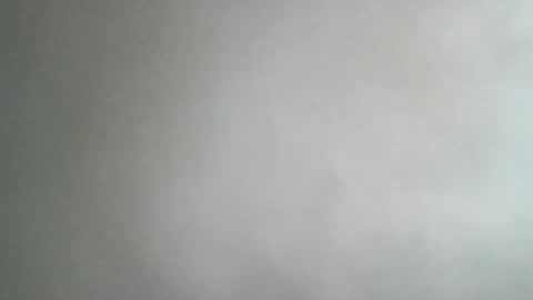 adi2019 online show from January 8, 11:54 am