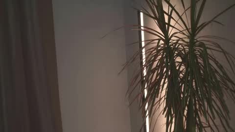 May online show from April 19, 4:08 pm