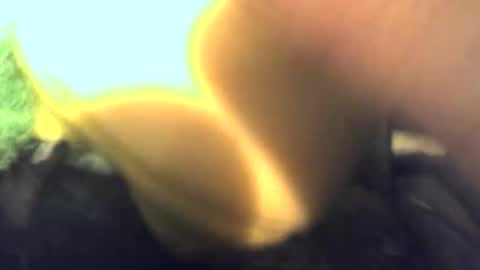 Snapshot of aj331827 chatting on November 1, 4:55 am aj331827 online show from November 1, 4:55 am