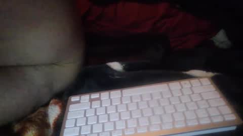 aken4it online show from October 17, 7:29 pm