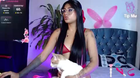 Akima online show from May 6, 2:28 am