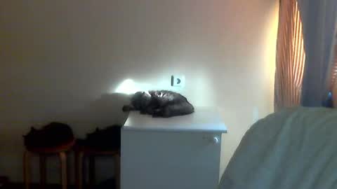 Anna online show from March 25, 11:39 am