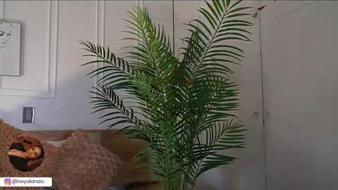 Alana online show from February 1, 3:14 am