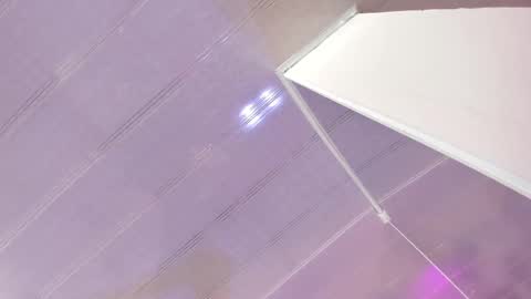 Maeve  online show from March 2, 10:14 am