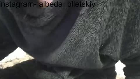 Albedo online show from November 4, 4:58 am