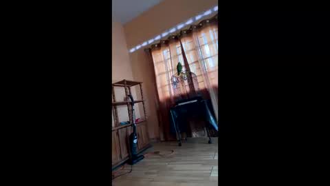 Jude online show from April 3, 12:45 pm