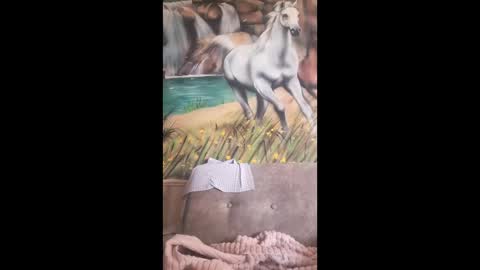 albina online show from February 21, 10:51 am