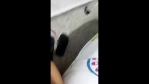 Snapshot of alexamdergal chatting on January 9, 10:31 pm Alexamdergal online show from January 9, 10:31 pm