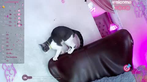  Alexandra Spellman  online show from January 27, 1:09 pm