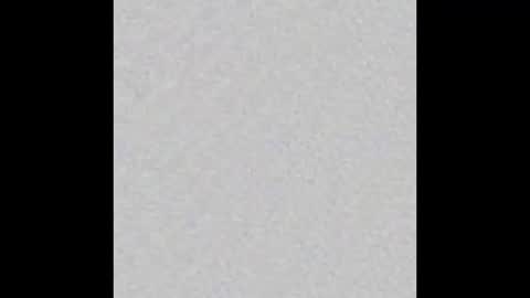 Alex Dimartino online show from February 25, 12:09 pm