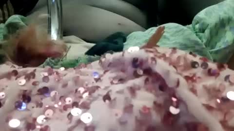 alexis0007754689 online show from March 31, 6:04 pm