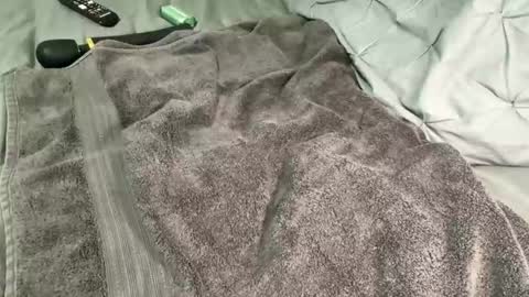 Alexis online show from December 13, 11:34 am