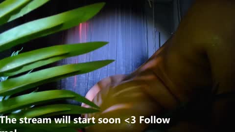 Snapshot of alicia_x_art chatting on January 1, 6:05 am Alicia Lici  online show from January 1, 6:05 am