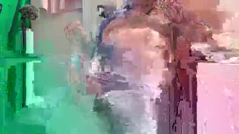 Allergictolove online show from December 14, 9:21 pm