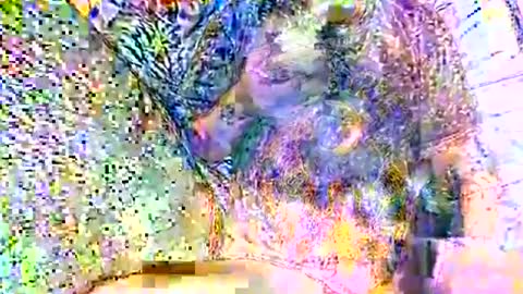 Snapshot of alliebearx chatting on October 13, 4:36 am alliebearx online show from October 13, 4:36 am