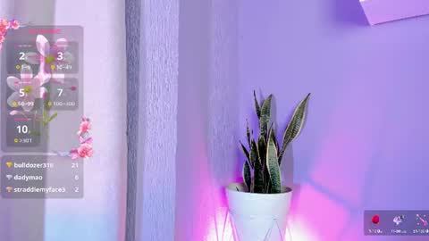 Alisson  online show from June 15, 2:25 am