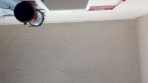 almightyjesos online show from October 30, 7:03 pm