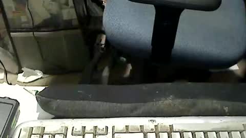 Loooopy online show from April 3, 4:58 pm