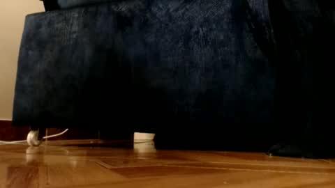 ur god online show from March 1, 12:15 am