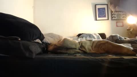 Snapshot of alynfoxx chatting on December 2, 2:57 am Alyn Maria online show from December 2, 2:57 am