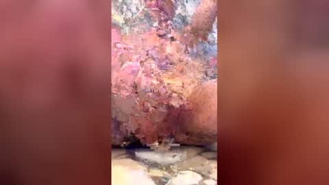 amateur_fantasies online show from January 17, 9:56 pm