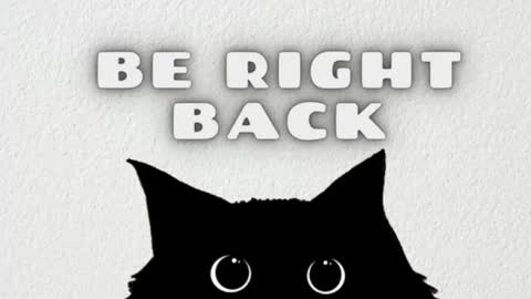 AmbarSantany  online show from March 6, 12:10 am